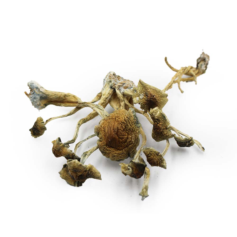 goldenteacher