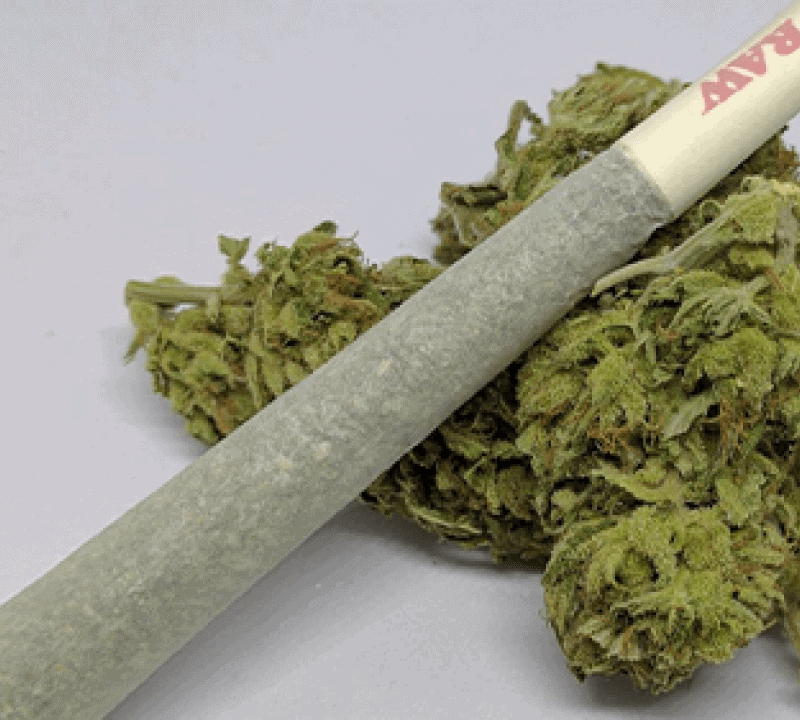 More Free PRE-ROLLs ~ Premium Single Strain Pre-rolls