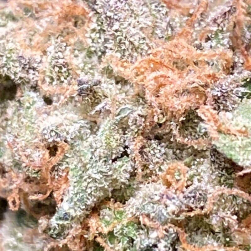 FREE Craft BC Bud 14 grams