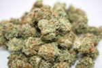 Donkey Butter (IDH) AAAA Popcorn Smalls – Same Punch, Smaller Price