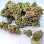 Upgrade Free to 14g BC Bud (non-stackable)