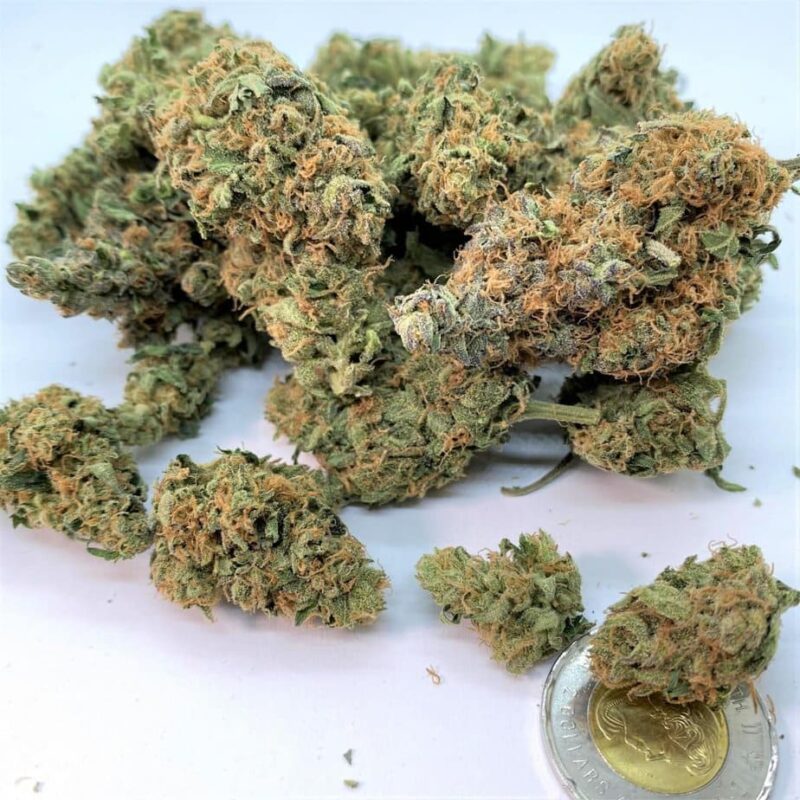 Upgrade Free to 14g BC Bud (non-stackable)