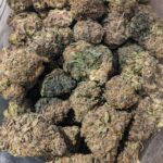 Gelato  (H)  AAA+ $99/Oz or Less