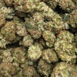 Death Bubba (IDH) "AAAA smalls"⭐ ~ super sale