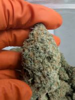 Nuken (IDH) AAAA ~ New Sale Prices