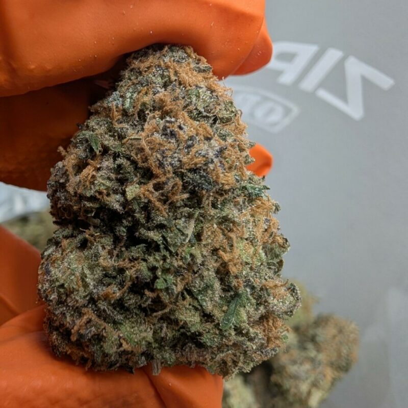 Oreo Cookies (Oreoz) – AAAA Indica‑Hybrid | 23–29% THC, Late‑Night Dessert Gas (Fresh Cured Batch 03/17/26)