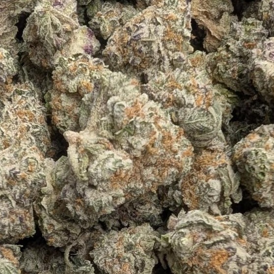 Khalifa Kush Mintz (Khalifa Mints) – AAAA Craft Hybrid