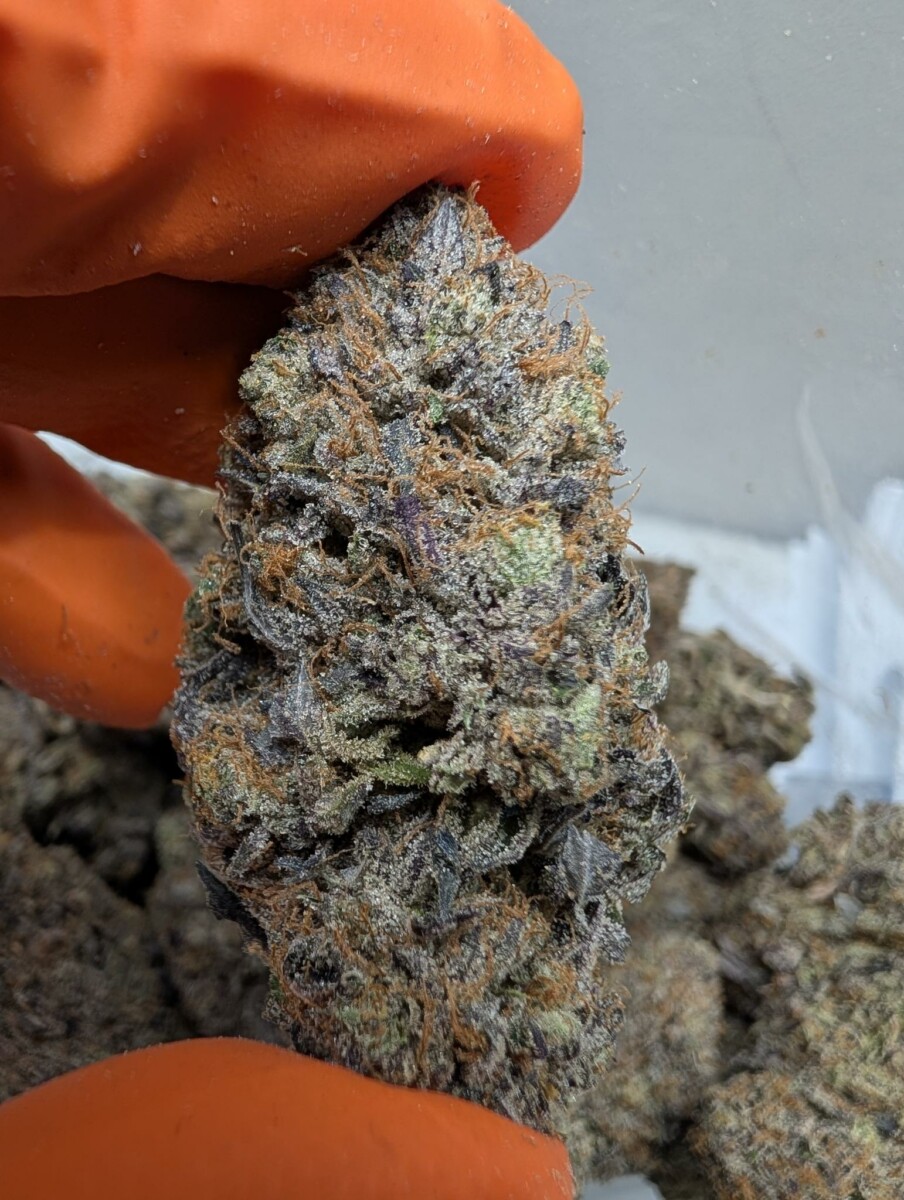 Death Bubba 2