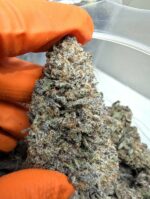Dosi Punch – Indica-Dominant Hybrid AAAA | Euphoric Grape Bliss