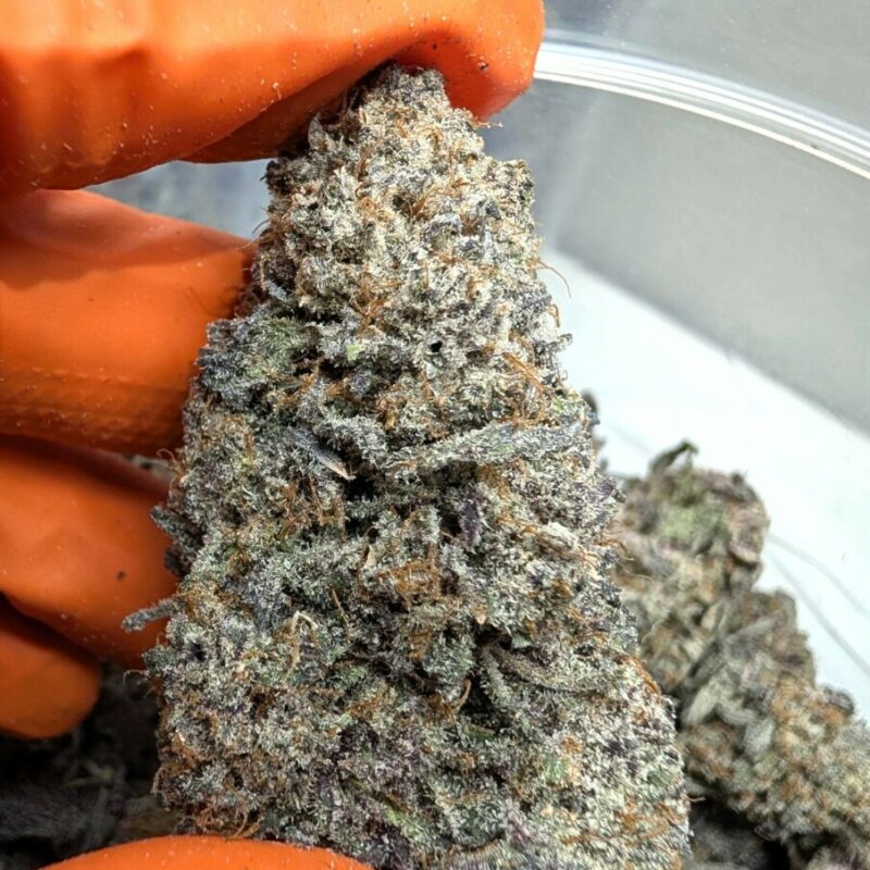 Dosi Punch – Indica-Dominant Hybrid AAAA | Euphoric Grape Bliss