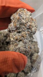 Crunch Berries – AAAA++ Premium IDH (Fresh Cured Craft Batch)