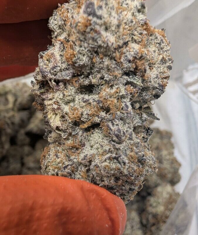 Crunch Berries – AAAA++ Premium IDH (Fresh Cured Craft Batch)