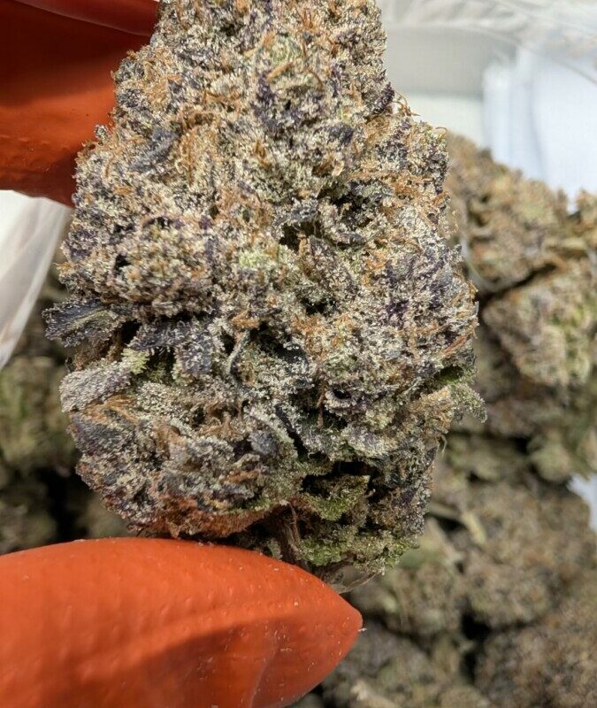 Death Bubba – AAAAA Premium IDH (Fresh Cured Craft Batch) Newsletter Code: Valid for BIG DISCOUNT